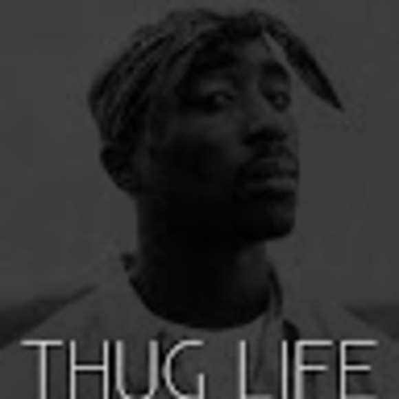 Meet your Posher, Devon - Picture 1 of 1